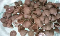 உடன்குடி சர்ச்சை: கலப்பட கருப்பட்டி சாப்பிட்டால் என்ன ஆகும்? அசல், போலியைக் கண்டறிவது எப்படி?