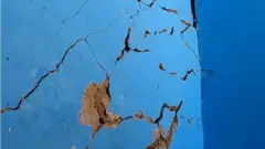 جوشی مٹھ
