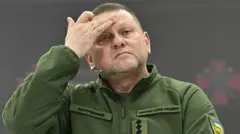 Залужний