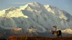 Alaska