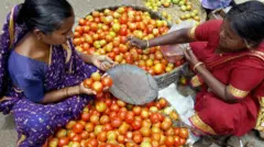 Tomatos