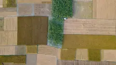 ভূমি বেচা-কেনার ক্ষেত্রে প্রতিটি ধাপে আলাদা আলাদা প্রক্রিয়া থাকে