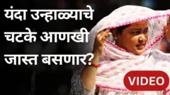 राज्यात यावर्षीचा उन्हाळा कसा असेल? हवामान विभागानं काय म्हटलं?