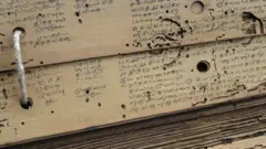 தமிழ், தமிழ்நாடு