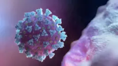 कोरोनाभाइरस 