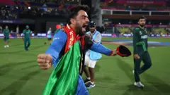 Cricket 
