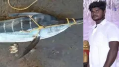 కొమ్ము కోనాం, యర్రయ్య