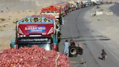کشاورزان افغان می‌گویند که محصولات شان به بازارهای کشورهای منطقه به سختی صادر و فروخته می‌شود