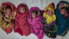 High fertility rates in some countries have helped boost the global population over eight billion people 