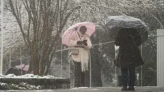 şemsiyeli iki kadın biri sırtı d&ouml;nm&uuml;ş halde kar altında y&uuml;r&uuml;yor, y&uuml;z&uuml; d&ouml;n&uuml;k pembe şemsiyeli kadın elindeki telefona bakıyor