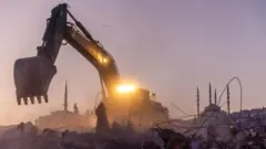 ቱርክ