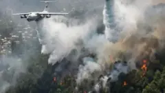 هواپیمای اطفای حریق بالای آتش‌سوزی جنگل