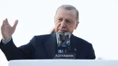 erdoğan 