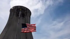 Флаг США у градирни угольной ТЭЦ во Флориде