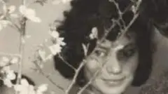 هما دارابی