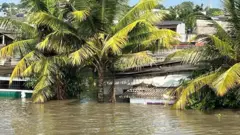 இலங்கை, திட்வா புயல், பாதிப்பு, மழை பாதிப்பு