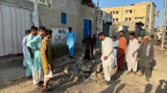 مچھر کالونی