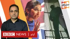 سیربین