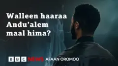 Artist Andu'aalam