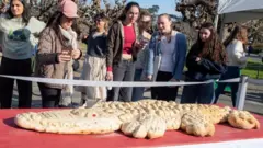 మొసలి, ఎలిగేటర్, శాన్ ఫ్రాన్సిస్కో, నివాళి, ఆల్బినిజం