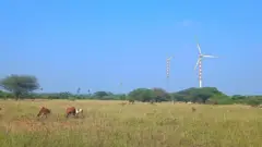 நெல்லை பஞ்சமி நிலம் சர்ச்சை