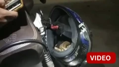 காணொளி: ஹெல்மெட்டுக்குள் புகுந்த 4 அடி நீள பாம்பு