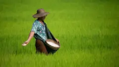 စိမ်းလန်းတဲ့ လယ်ကွင်းပြင်မှာ လယ်သမားတဦးပျိုးကြဲနေတာ ဖြစ်ပါတယ်။