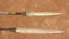 Os Mashco Piro caçam na floresta amazônica com lanças e flechas.