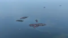 Gardi Sugdub, Panamá