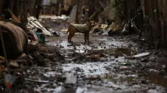 Rua afetada pelas enchentes no Rio Grande do Sul