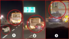 ट्रकमधून बकऱ्या फेकल्या जात असताना 