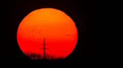 Закат над линией электропередачи возле НПЗ «Орлен Унипетрол» в Чехии