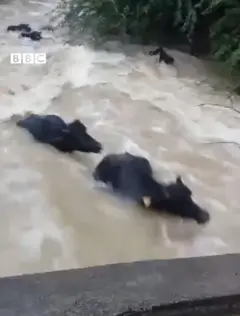 குஜராத் 