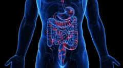 Ilustração mostra o aparelho digestivo