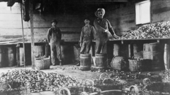 Foto em preto e branco mostra três homens em construção de madeira rodeados de ostras
