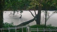 sungai-cisadane-tercemar-hingga-puluhan-kilometer-air-menjadi-putih-dan-ikan-mati-bagaimana-mengatasinya