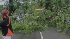 தமிழ்நாடு, கனமழை, பருவமழை, மழை பாதிப்பு