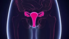 Menopause