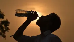 வெப்ப அலை