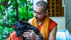 நாய்க்கு ஆதரவளித்த புத்த துறவி