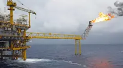 సహజ వాయువు, గ్యాస్ నిక్షేపాలు