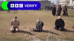 ብሰራዊት እስራኤል ዝተኣሰሩ ፍልስጤማውያን