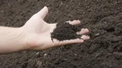 ह्युमन कम्पोस्टिंग म्हणजे काय?