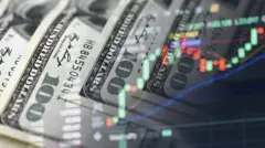 IMF