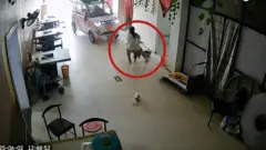 Trenutak kad je devojčica spasila sestru od nekontrolisanog vozila