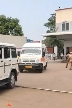 இறால்