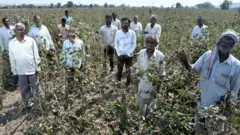 संग्रहित छायाचित्र