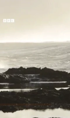 வெயிலுக்கு இதுதான் காரணமா?