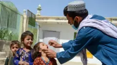 د واکسین کمپاين