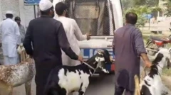 પાકિસ્તાન